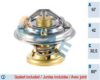 FAE 5320480 Thermostat, coolant